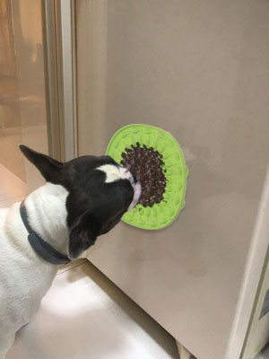 Oval Lick & Slow Food Mat WPT 2103