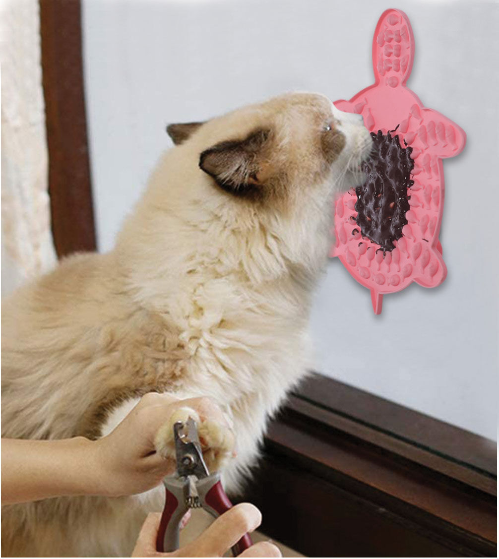 Tortoise Lick & Slow Food Mat WPT 2104