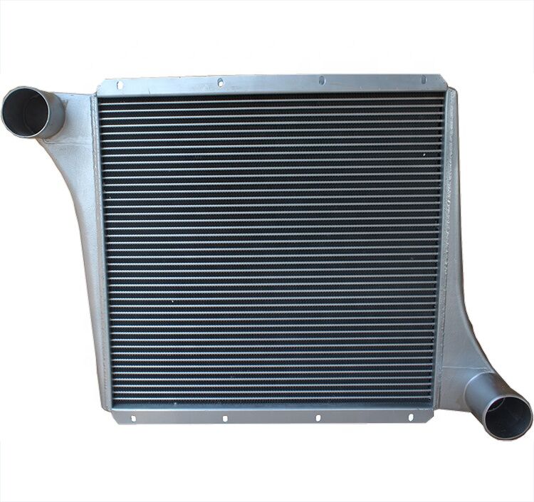Intercooler WG9719530250