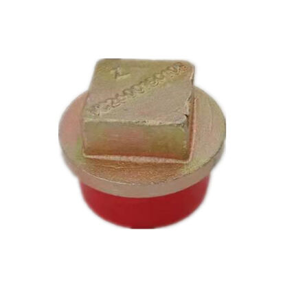 Magnetic Csrew Plug VG2600150108