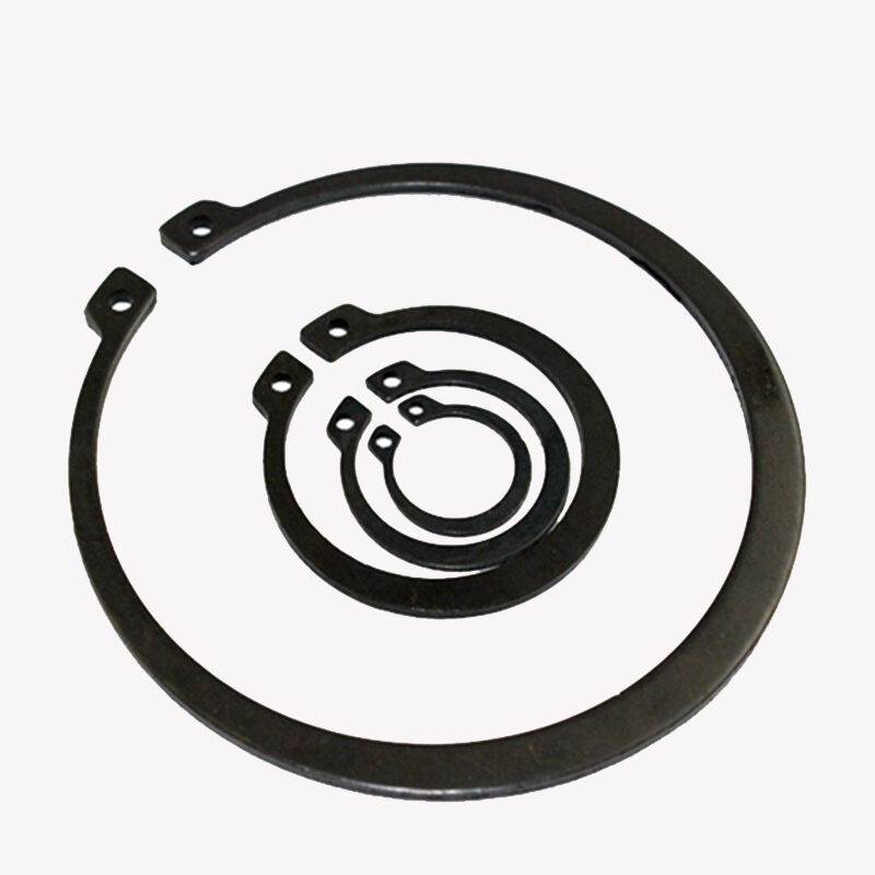 Retaining Ring WG1560030012