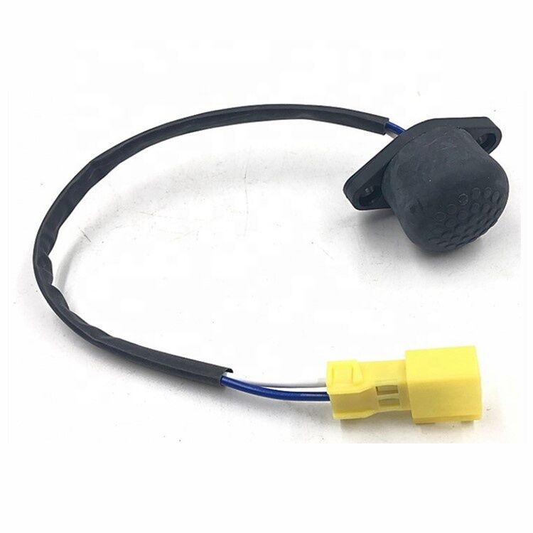 Exhaust Brake Switch  WG9719710001