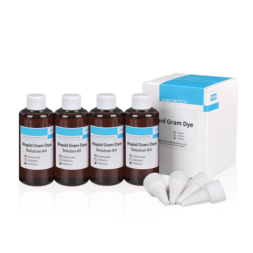Gram Stain Kit