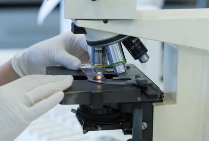 What Viruses Can Phosphate Buffered Saline (PBS) Be Used to Transport?