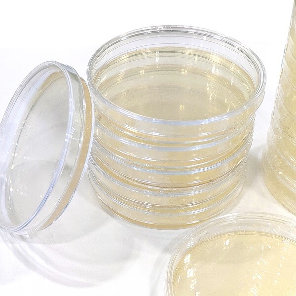 Tryptose Precision Microbial Monitoring with Baibo Biology's Tryptose Soya Agar ...