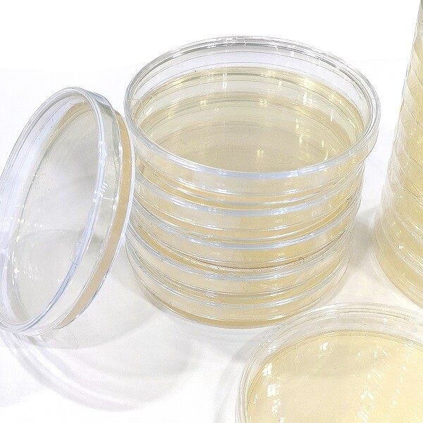 Precision in Microbial Monitoring: Baibo Biology’s Tryptose Soya Agar (TSA) Medium Leads the Way