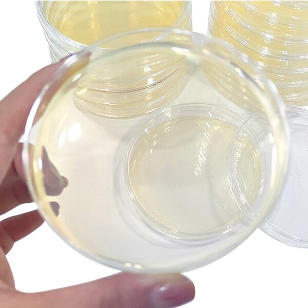 Medio R2a High-Quality R2A Agar Medium for Microbial Testing by Babio