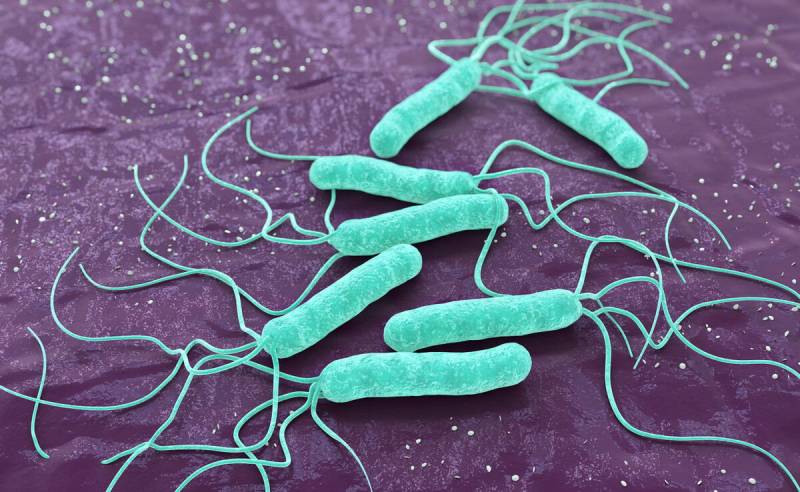 Accurate & Rapid Detection of H. pylori with BABIO Antigen Rapid Test Kit (Colloidal Gold)