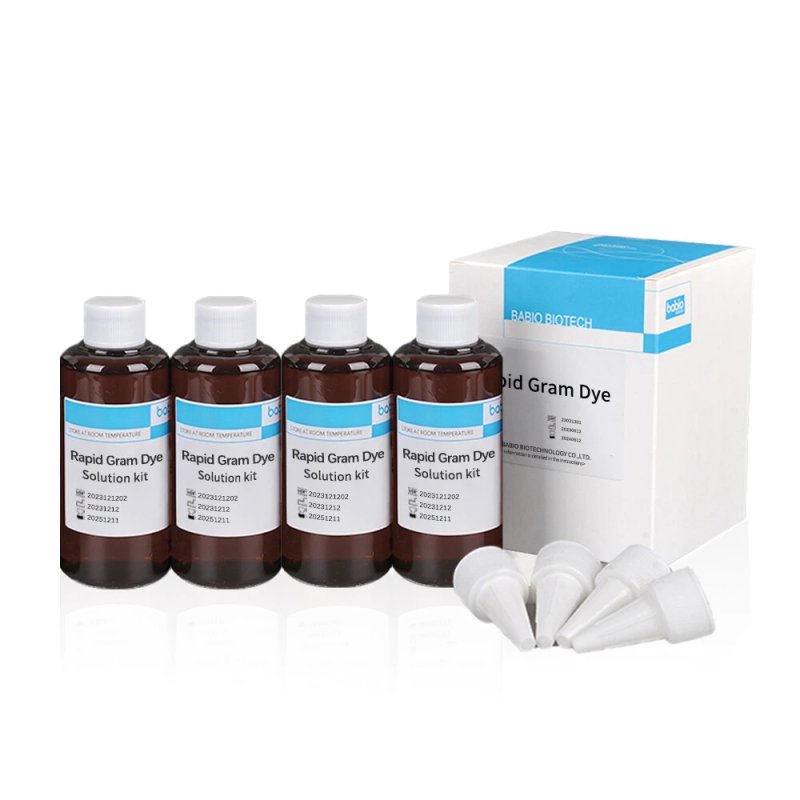 Babio Introduces Advanced Gram Stain Kit for Accurate Microbiological Analysis