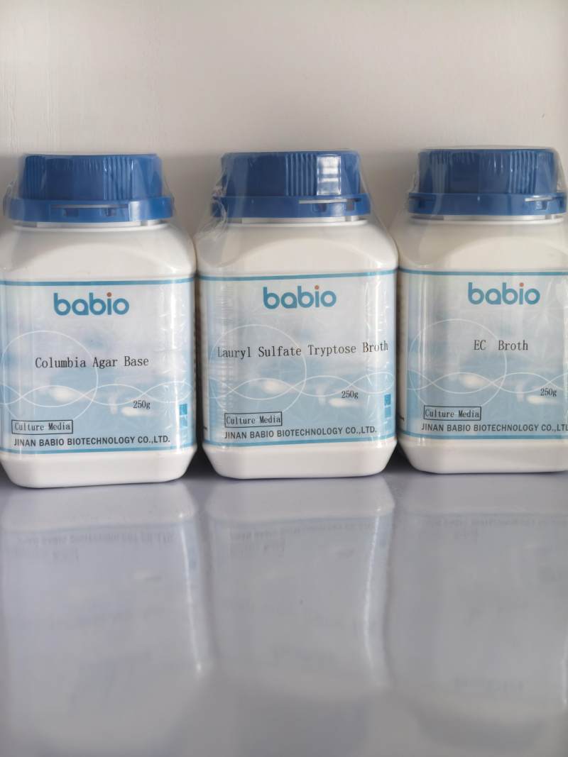 BABIO's Triple Sugar Iron Agar (TSI) for Accurate Gram-Negative Bacilli Testing