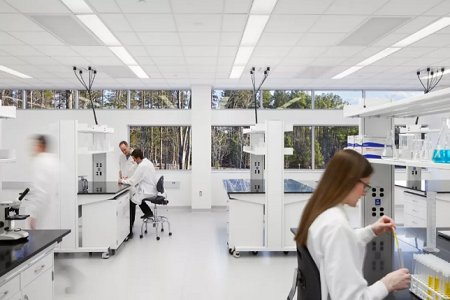 BABIO Introduces Sterile Disposable Cytology Cervical Brush for Reliable Gynecological Diagnostics