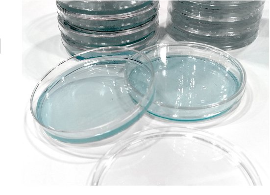 BABIO Ready-to-Use GVPC Agar Plates Improve Legionella Water Testing Efficiency
