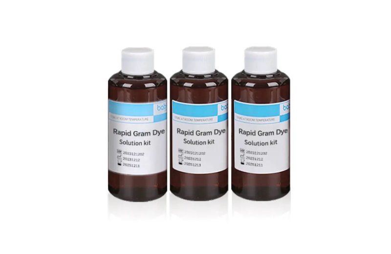 BABIO Gram Stain Kit Supports Reliable Microbiology Identification