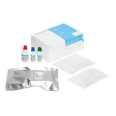 Vaginitis Test Kit