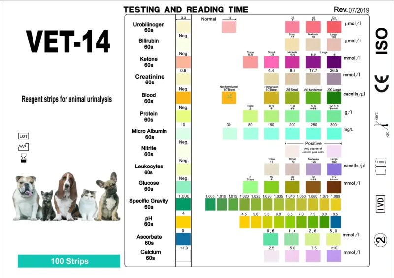Veterinary Urine Test Strips Bring Faster Urinalysis to Pet Care