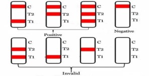 8b11c883-b0e6-41b2-aa6a-f51c02d10cc0_673667.png