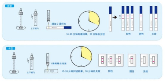 幽门抗原检测结果.png 幽门抗原检测结果.png