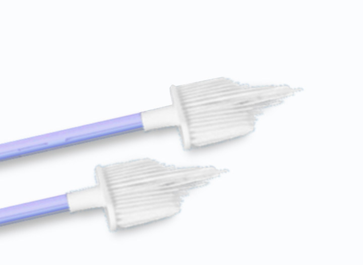 Understanding the Disposable Medical Sterile Cytology Cervical Brush