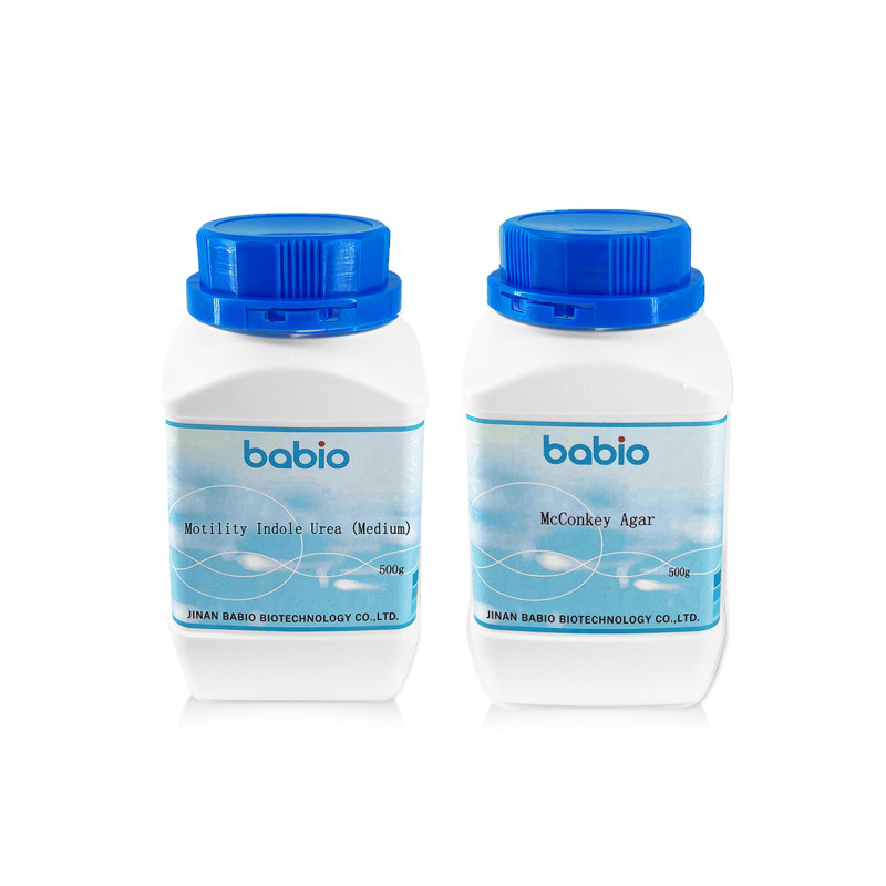 What is the shelf life of dried medium after opening?