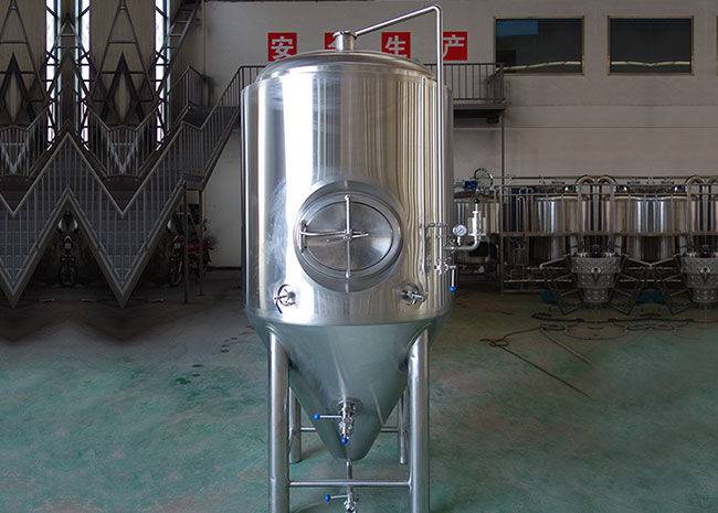 500L Beer Fermenter With Side Manhole