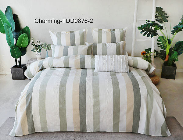 TDD0876-2