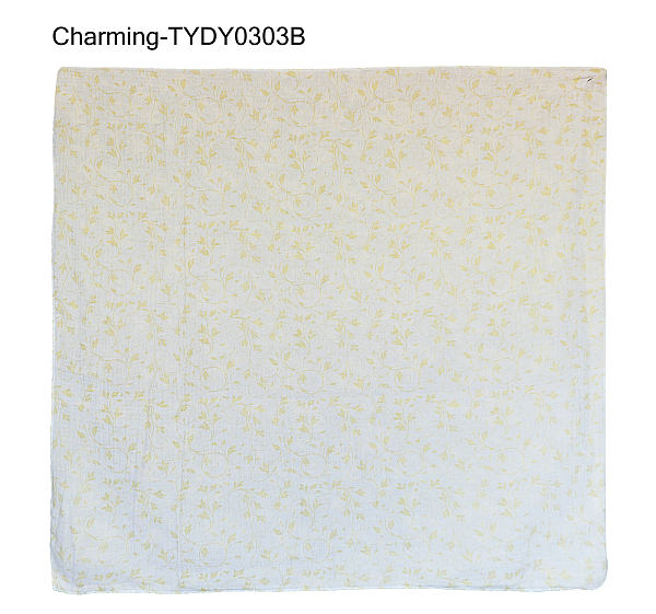 TYDY0303B