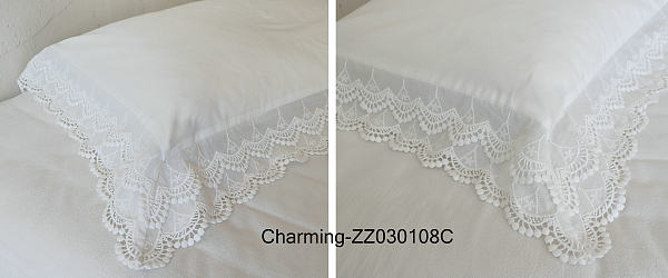 ZZ030108C