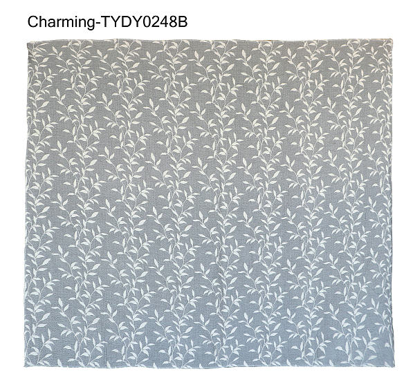 TYDY0248B