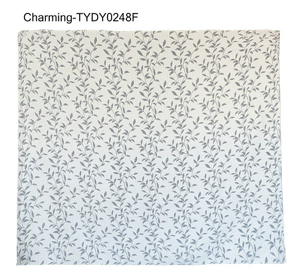 TYDY0248BF