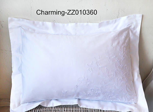 ZZ010360