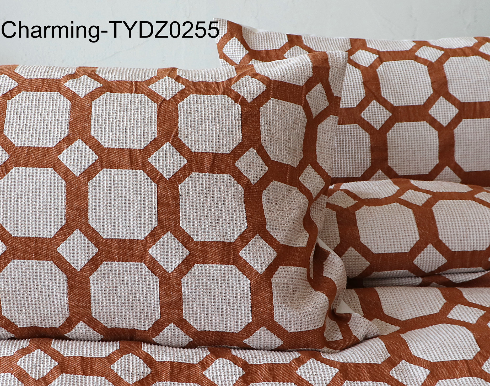 TYDZ0255