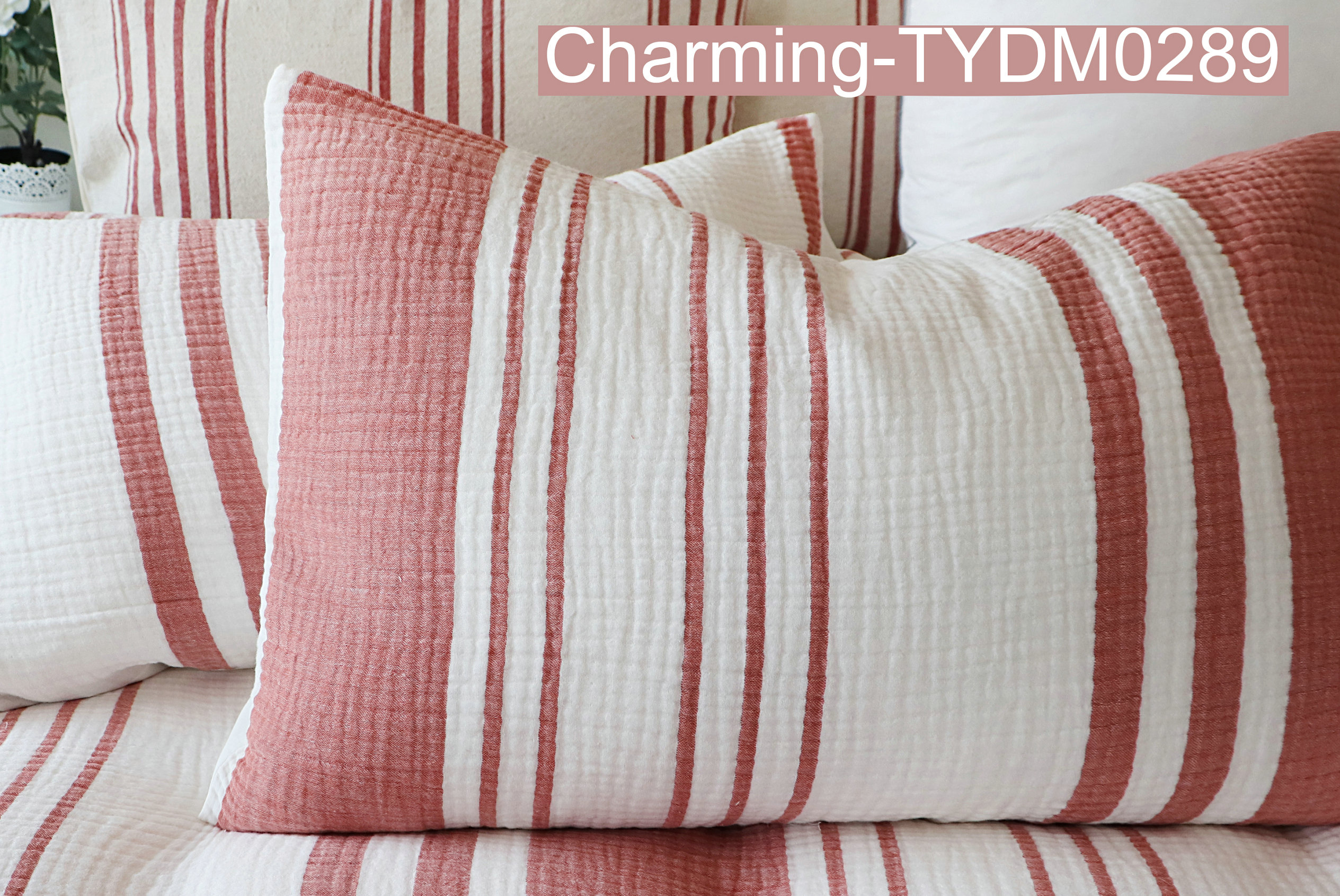 TYDM0289