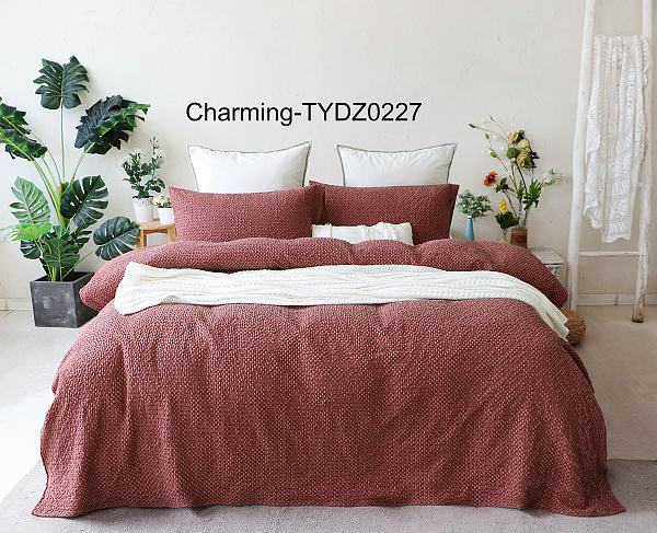 TYDZ0227