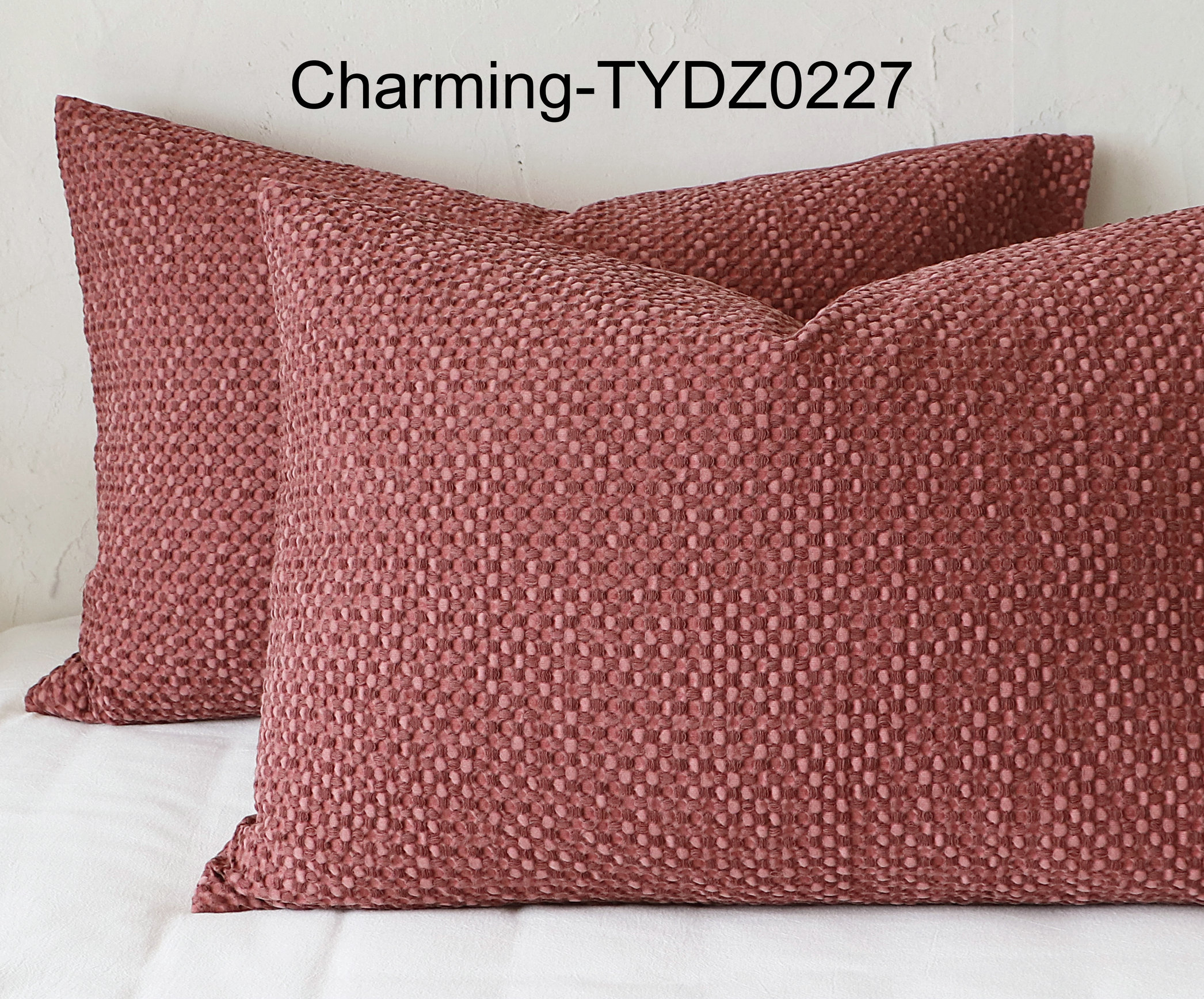 TYDZ0227