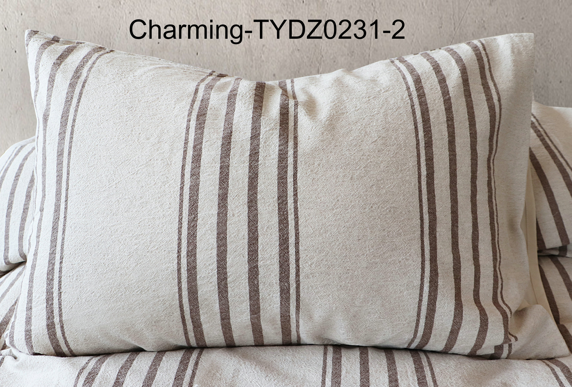 TYDZ0231-2