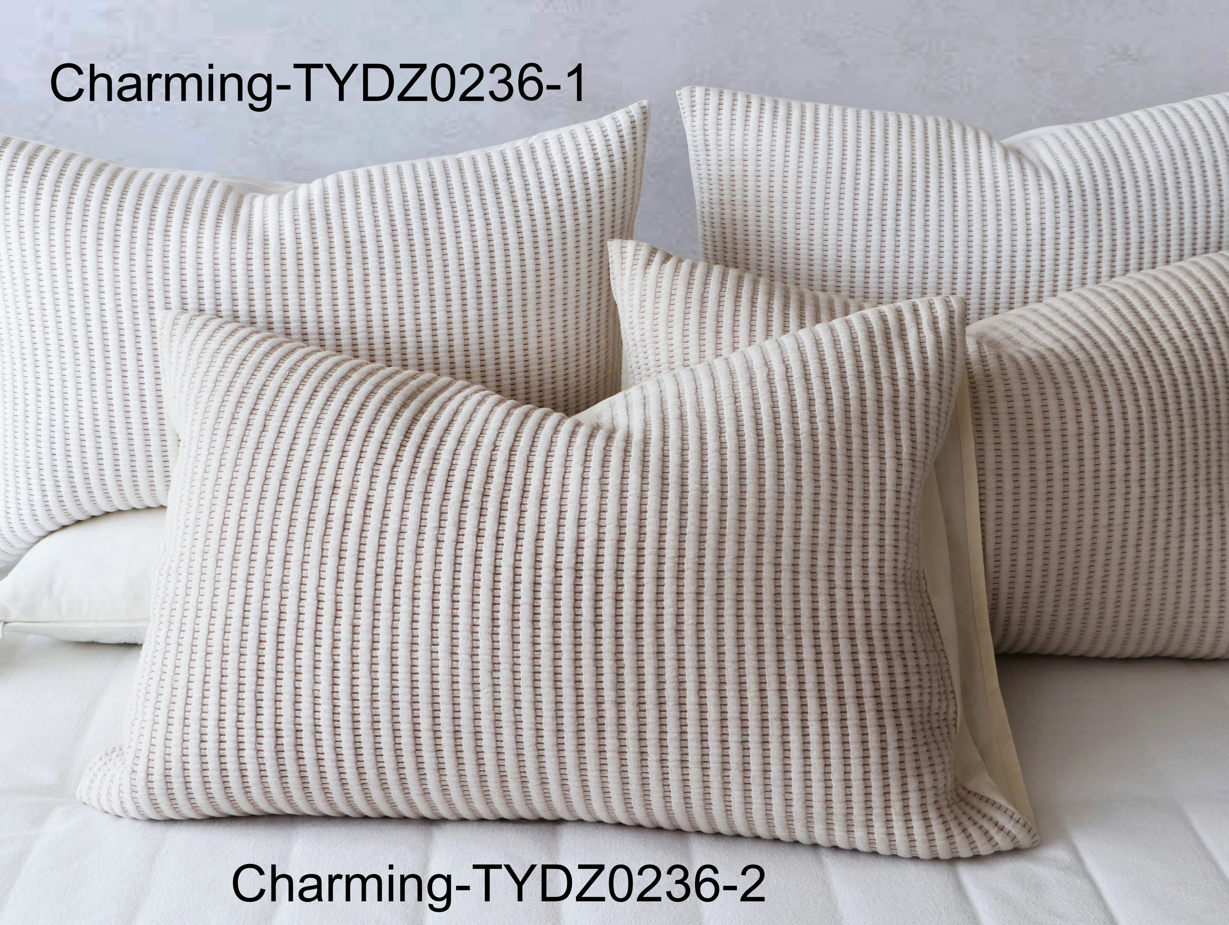 TYDZ0236-1