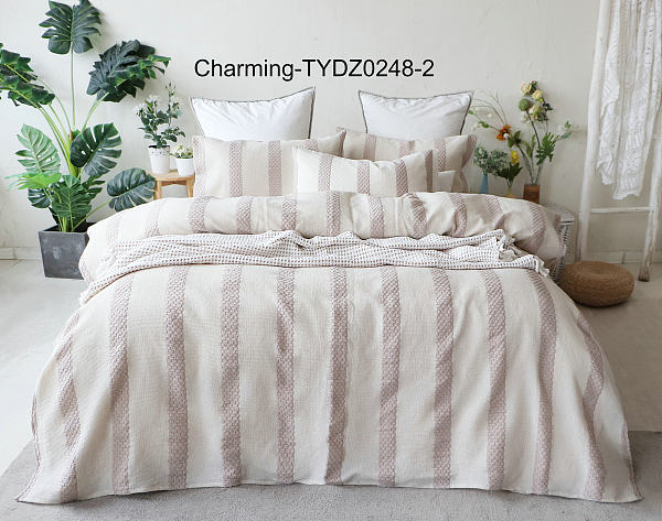 TYDZ0248-2