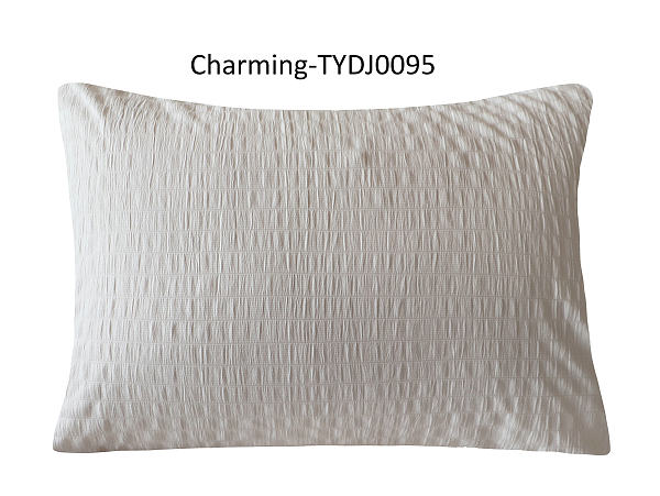 TYDJ0095