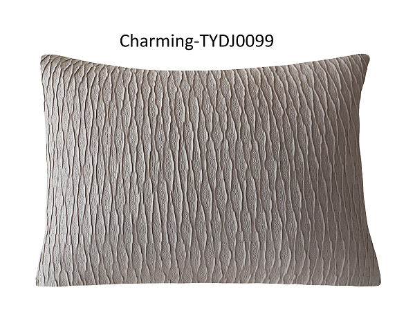 TYDJ0099