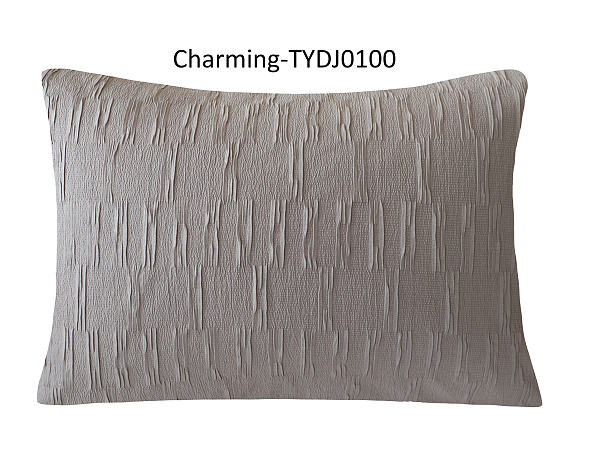 TYDJ0100