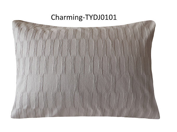 TYDJ0101