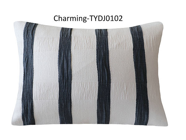 TYDJ0102
