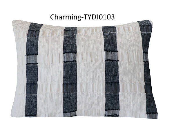 TYDJ0103