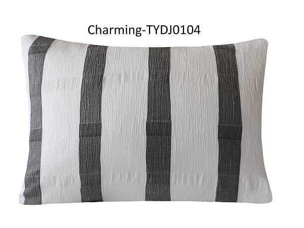 TYDJ0104