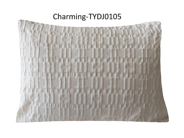 TYDJ0105