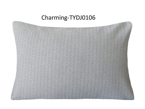 TYDJ0106