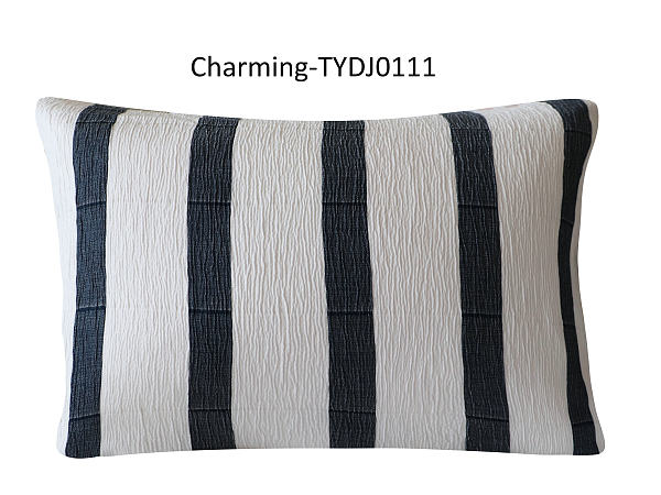 TYDJ0111