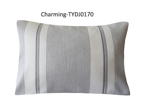 TYDJ0170