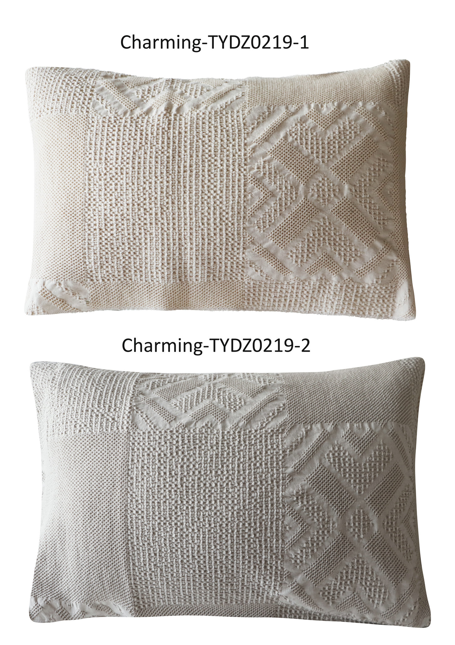 TYDZ0219-1-2
