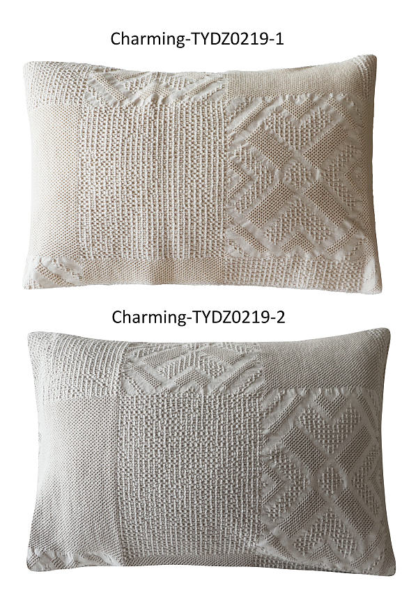 TYDZ0219-1-2